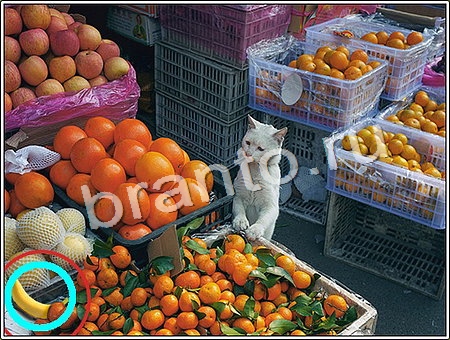 Игра Что изменилось в Одноклассниках - ответы