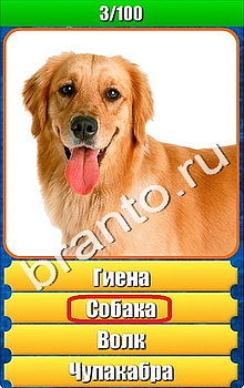 "Планета игр - Что на картинке" - ответы на игру