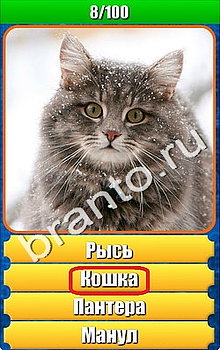 "Планета игр - Что на картинке" - ответы на игру
