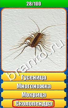 "Планета игр - Что на картинке" - ответы на игру