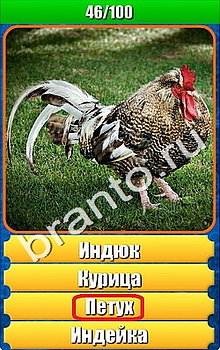 "Планета игр - Что на картинке" - ответы на игру