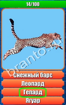 "Планета игр - Что на картинке-2" - ответы на игру