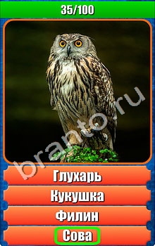 "Планета игр - Что на картинке-2" - ответы на игру