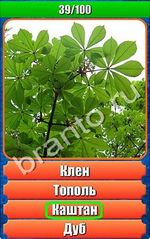 "Планета игр - Что на картинке-2" - ответы на игру