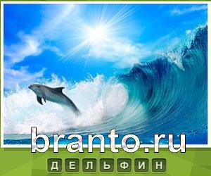 Что под стикером - ответы