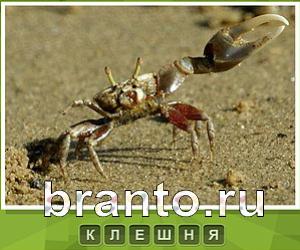 Что под стикером - ответы