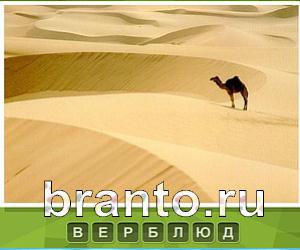 Что под стикером - ответы