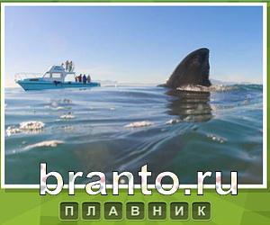 Что под стикером - ответы