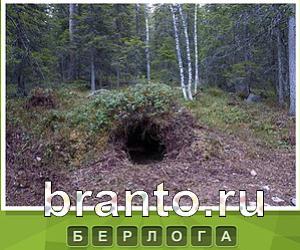 Что под стикером - ответы