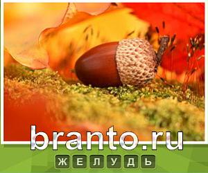 Что под стикером - ответы