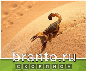 Что под стикером - ответы