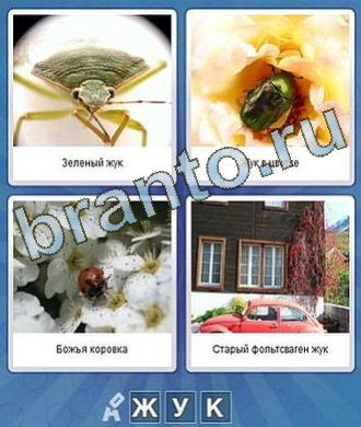 Что за слово ответы на игру