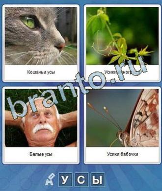 Что за слово ответы на игру