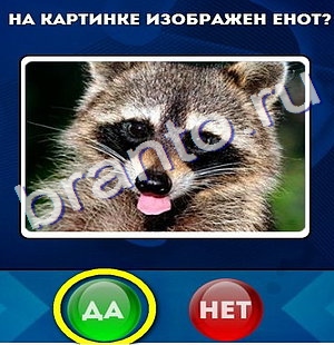 Ответы на игру "Да или Нет" в Одноклассниках