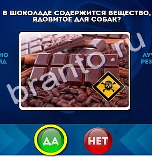Ответы на игру "Да или Нет" в Одноклассниках