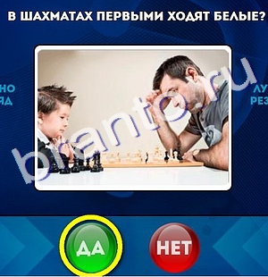 Ответы на игру "Да или Нет" в Одноклассниках