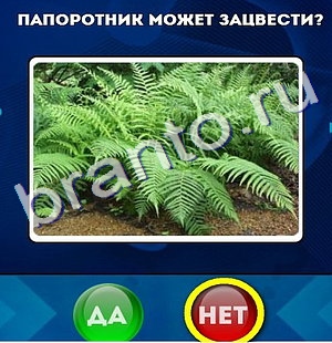 Ответы на игру "Да или Нет" в Одноклассниках