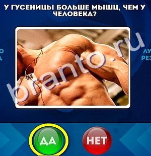 Ответы на игру "Да или Нет" в Одноклассниках