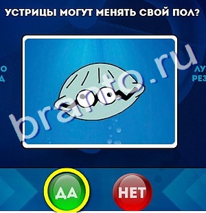 Ответы на игру "Да или Нет" в Одноклассниках