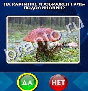 Ответы на игру "Да или Нет" в Одноклассниках