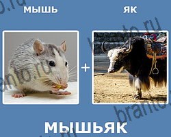 "Два в одном" - ответы на все уровни игры