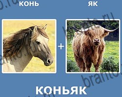 "Два в одном" - ответы на все уровни игры