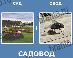 "Два в одном" - ответы на все уровни игры