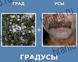 "Два в одном" - ответы на все уровни игры