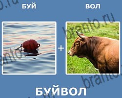 "Два в одном" - ответы на все уровни игры