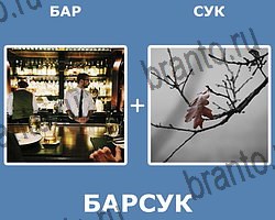 "Два в одном" - ответы на все уровни игры