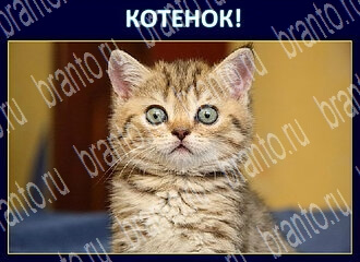Игра Экстрасенс - ответы в Одноклассниках