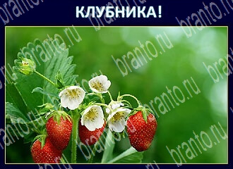 Игра Экстрасенс - ответы в Одноклассниках
