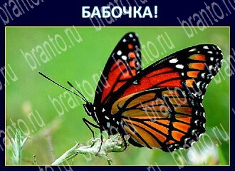 Игра Экстрасенс - ответы в Одноклассниках