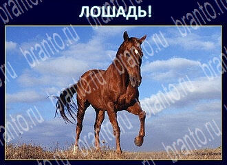 Игра Экстрасенс - ответы в Одноклассниках