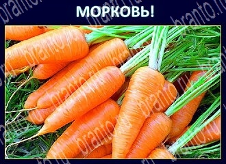 Игра Экстрасенс - ответы в Одноклассниках
