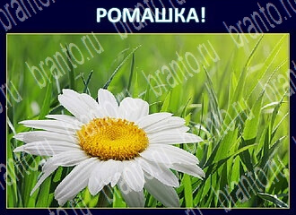 Игра Экстрасенс - ответы в Одноклассниках