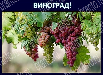 Игра Экстрасенс - ответы в Одноклассниках