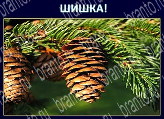 Игра Экстрасенс - ответы в Одноклассниках