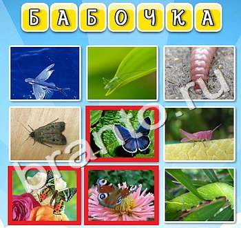 Игра Фото к слову - ответы