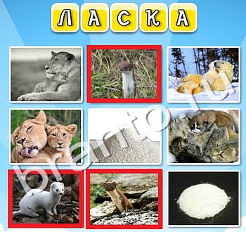 Игра Фото к слову - ответы