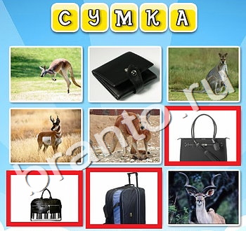 Игра Фото к слову - ответы