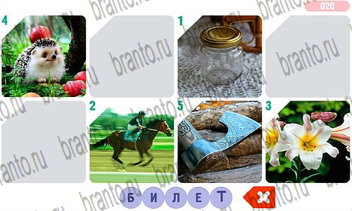 Фоторебус - ответы к игре в Одноклассниках: сборник №1