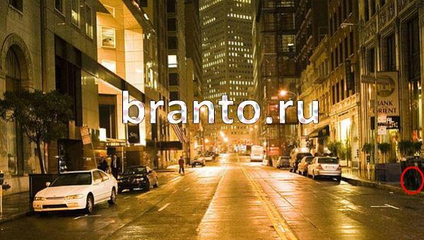 Игра Где же кот в Одноклассниках - ответы
