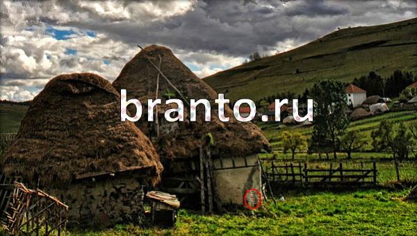 Игра Где же кот в Одноклассниках - ответы