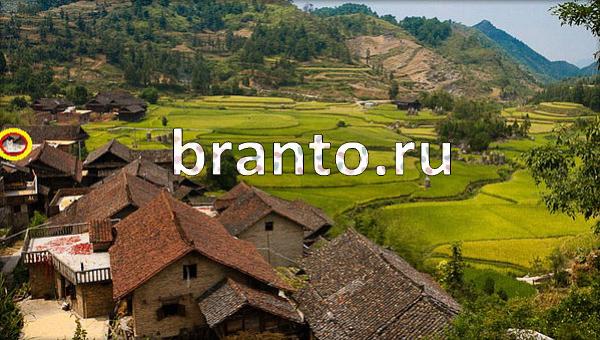 Игра Где же кот в Одноклассниках - ответы
