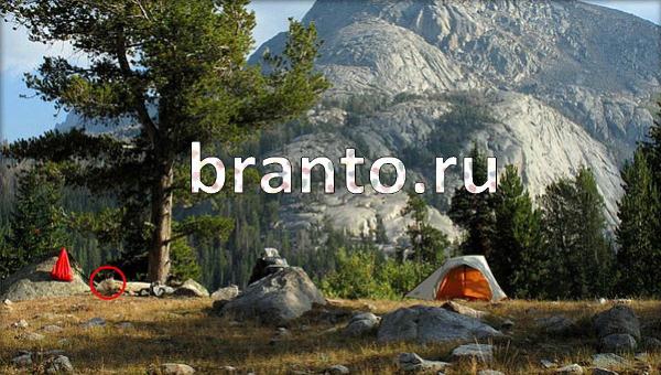 Игра Где же кот в Одноклассниках - ответы