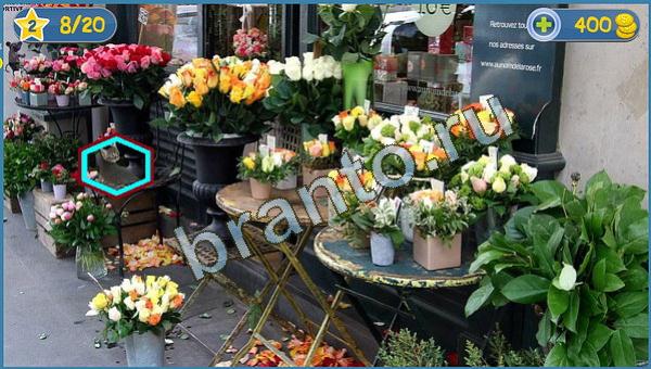 Игра Где кот в Одноклассниках - ответы