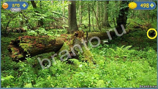 Игра Где кот в Одноклассниках - ответы