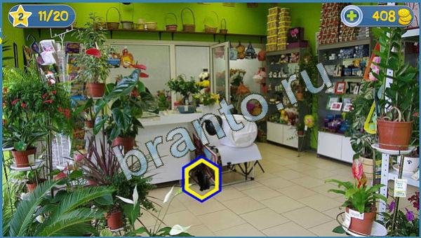 Игра Где кот в Одноклассниках - ответы