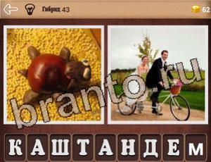 "Гибриды" - ответы на игру (андроид)
